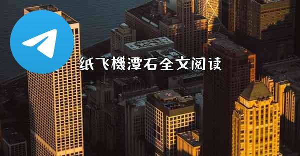 纸飞機潭石全文阅读