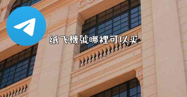 纸飞機號哪裡可以买