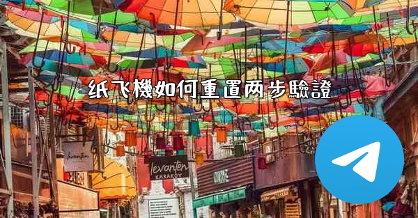 纸飞機如何重置两步驗證