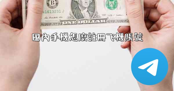 國內手機怎麼註冊飞機賬號