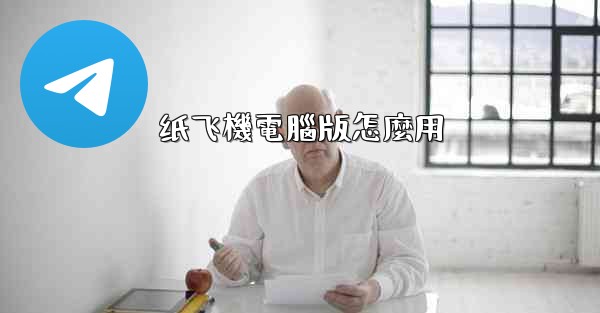 纸飞機電腦版怎麼用
