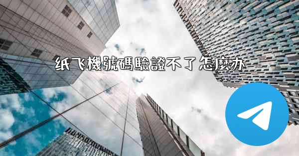 纸飞機號碼驗證不了怎麼办