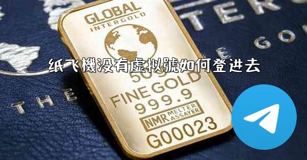纸飞機没有虚拟號如何登进去