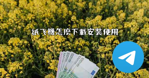 纸飞機怎麼下載安裝使用