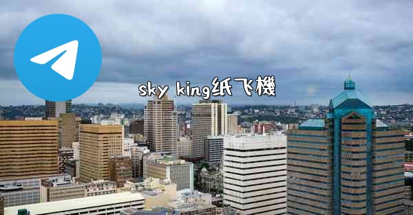 sky king纸飞機