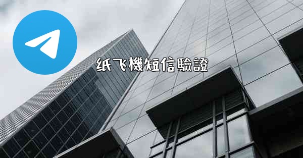 纸飞機短信驗證