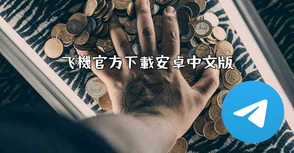 飞機官方下載安卓中文版