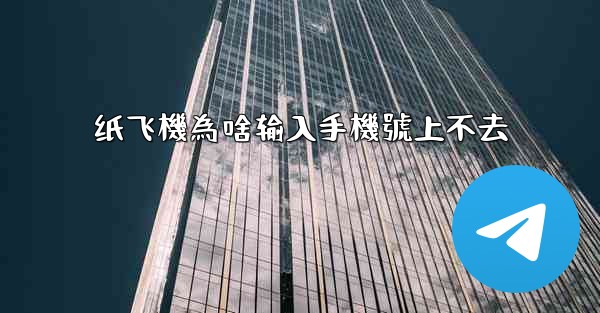 纸飞機為啥输入手機號上不去