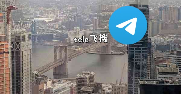 tele飞機
