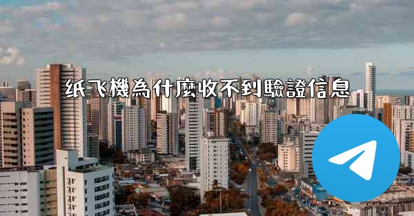 纸飞機為什麼收不到驗證信息