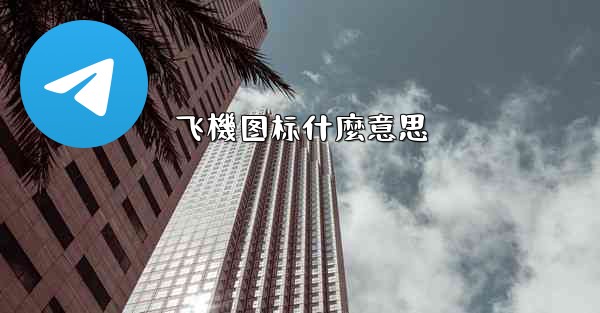 飞機图标什麼意思