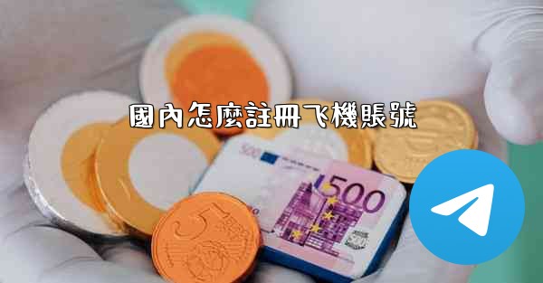 國內怎麼註冊飞機賬號