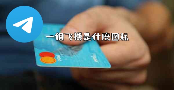 一個飞機是什麼图标