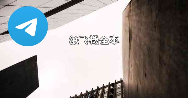纸飞機全本
