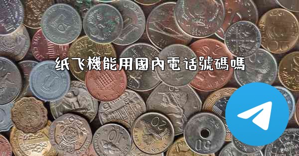 纸飞機能用國內電话號碼嗎