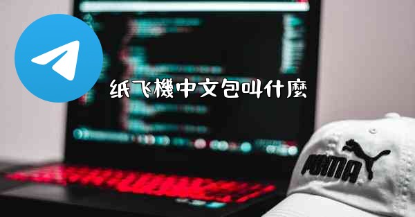 纸飞機中文包叫什麼