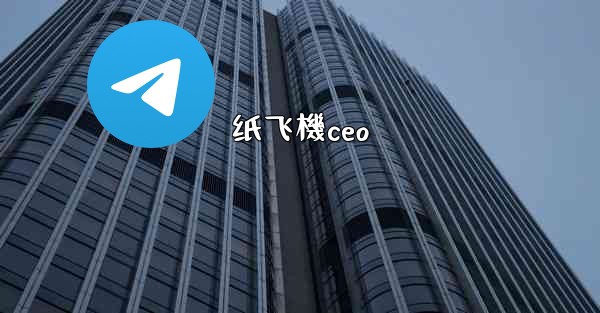 纸飞機ceo
