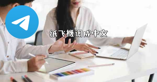 纸飞機调成中文