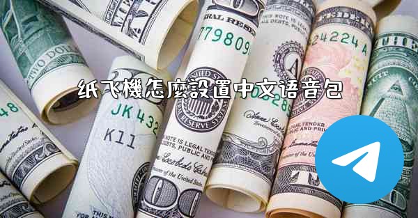 纸飞機怎麼設置中文语音包