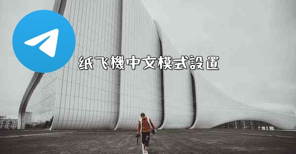 纸飞機中文模式設置