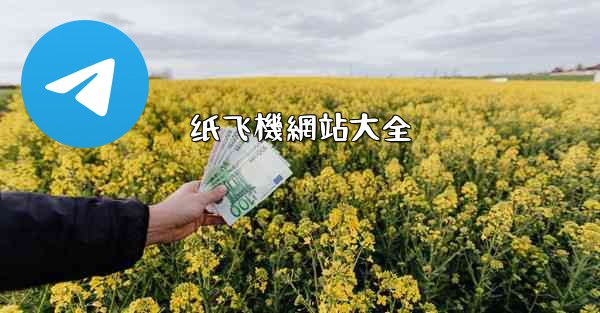 纸飞機網站大全