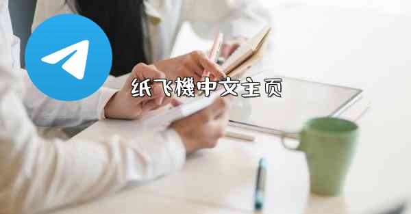 纸飞機中文主页