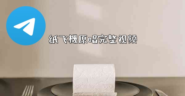 纸飞機原唱完整视频