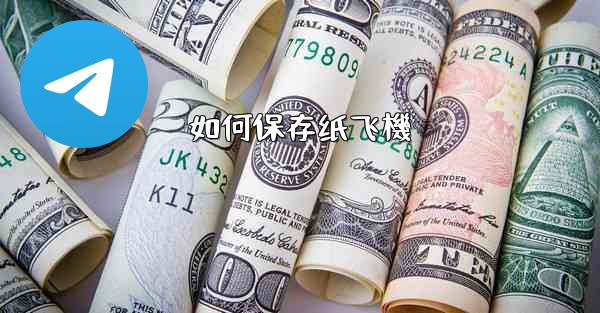 <b>如何保存纸飞機</b>