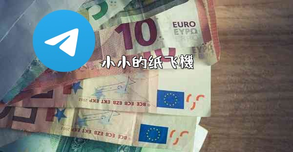 小小的纸飞機