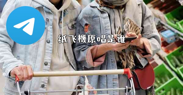 纸飞機原唱是谁