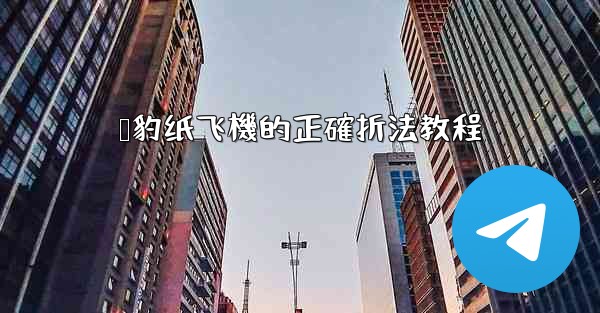 猎豹纸飞機的正確折法教程