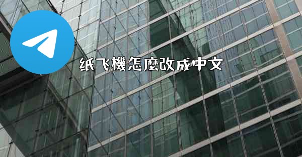 纸飞機怎麼改成中文