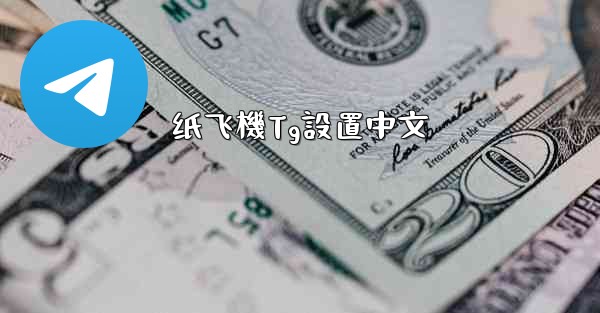 纸飞機Tg設置中文