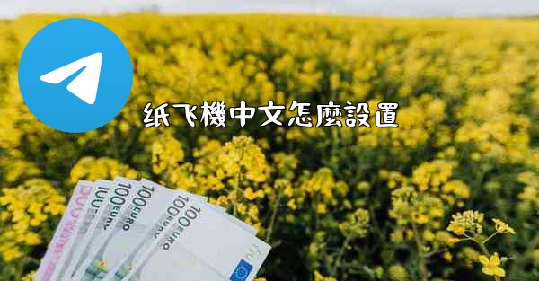 纸飞機中文怎麼設置
