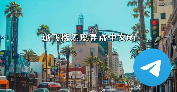 纸飞機怎麼弄成中文的