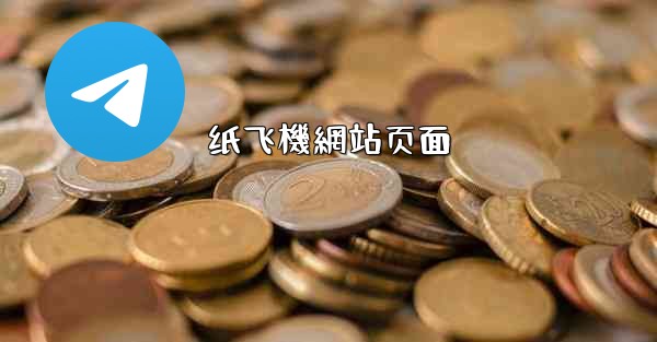 纸飞機網站页面