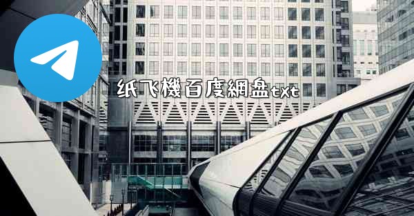 纸飞機百度網盘txt