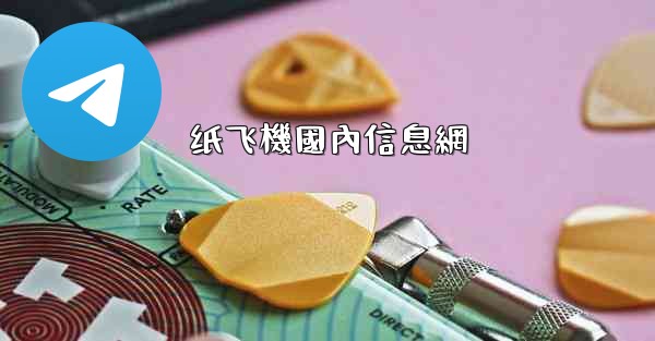 纸飞機國內信息網