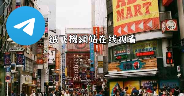 纸飞機網站在线观看