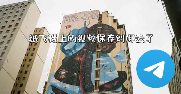 纸飞機上的视频保存到哪去了
