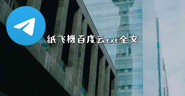 纸飞機百度云txt全文