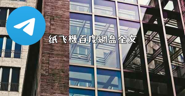 纸飞機百度網盘全文