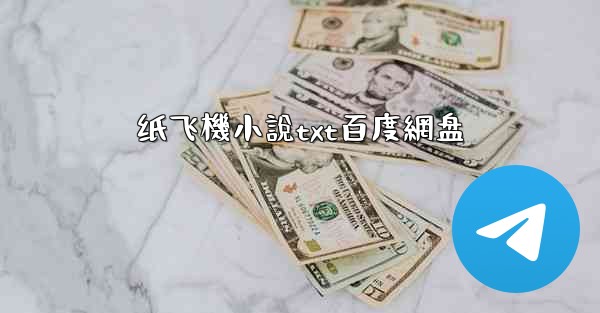 纸飞機小說txt百度網盘