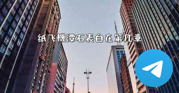 纸飞機潭石表白在第几章