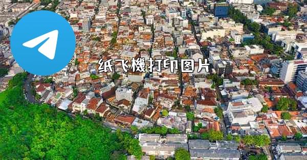 纸飞機打印图片