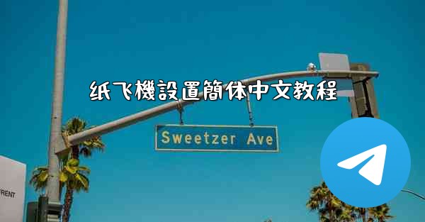 纸飞機設置簡体中文教程
