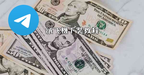 纸飞機下裝教程