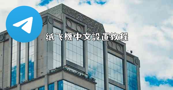 纸飞機中文設置教程