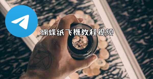 蝴蝶纸飞機教程视频