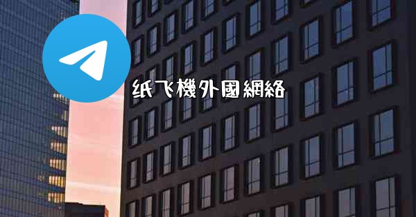 纸飞機外國網絡